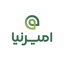 امیرنیا